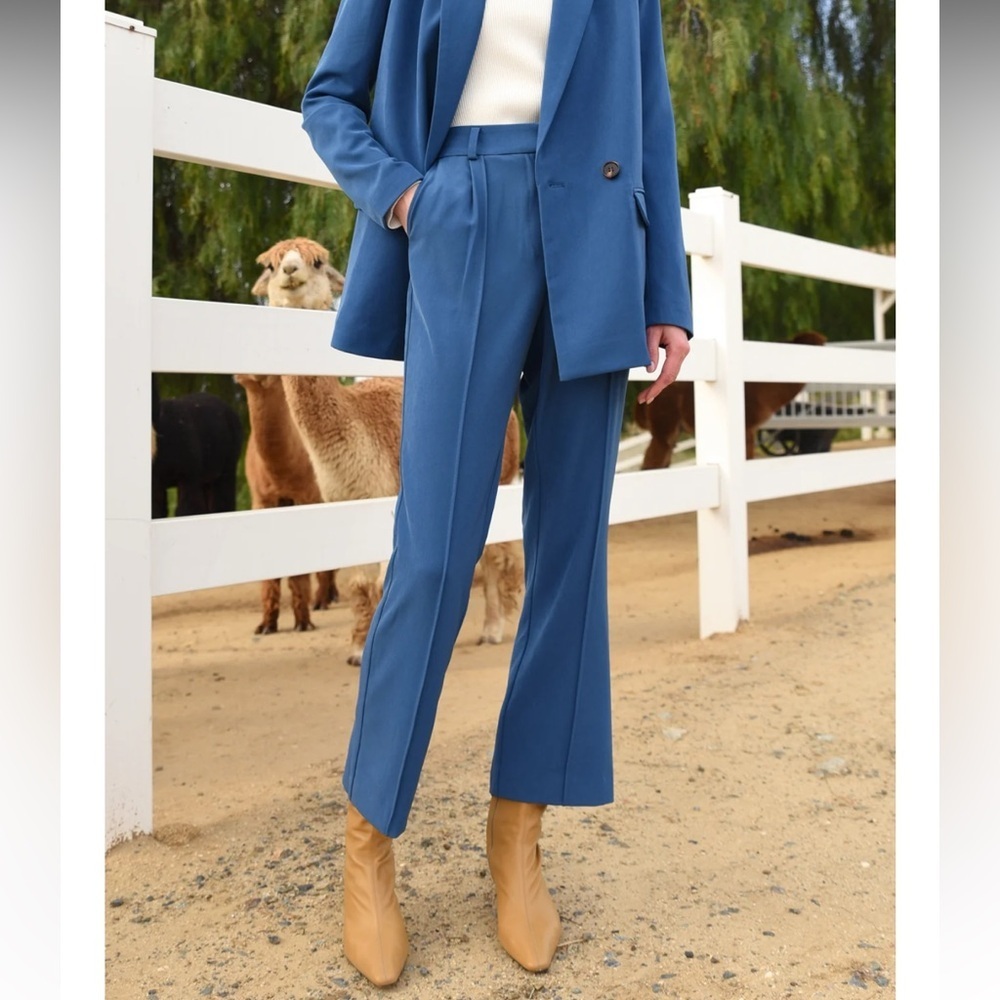 ANTHRO Greylin Straight Leg Trouser High Rise Blue Tailored Size Medium